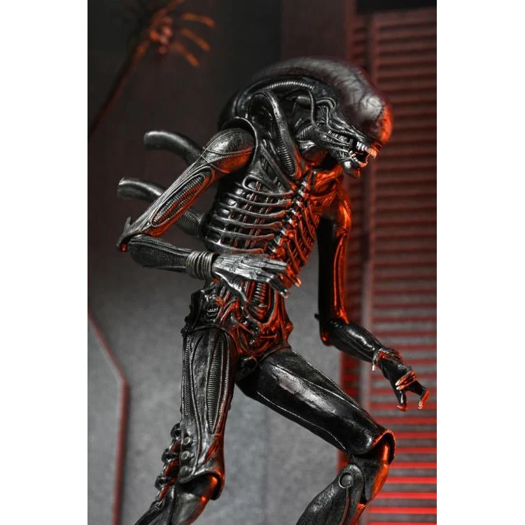 Alien: Romulus Ultimate XX121 Xenomorph Action Figure - NECA - Image 3
