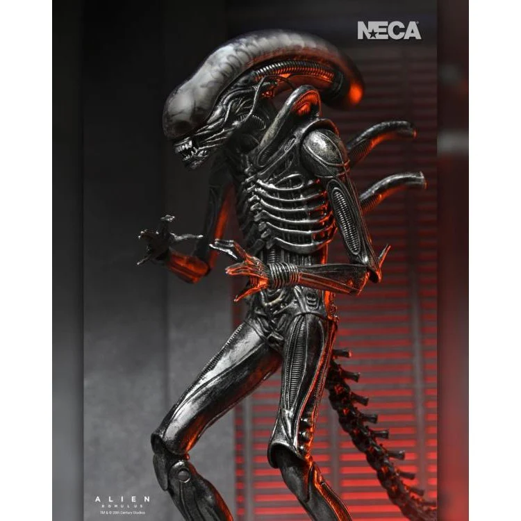 Alien: Romulus Ultimate XX121 Xenomorph Action Figure - NECA - Image 8
