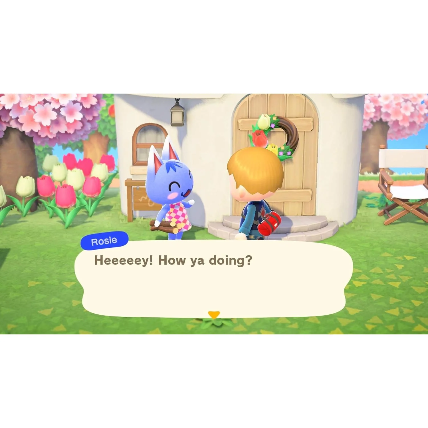 Animal Crossing: New Horizons - Nintendo Switch - Image 3