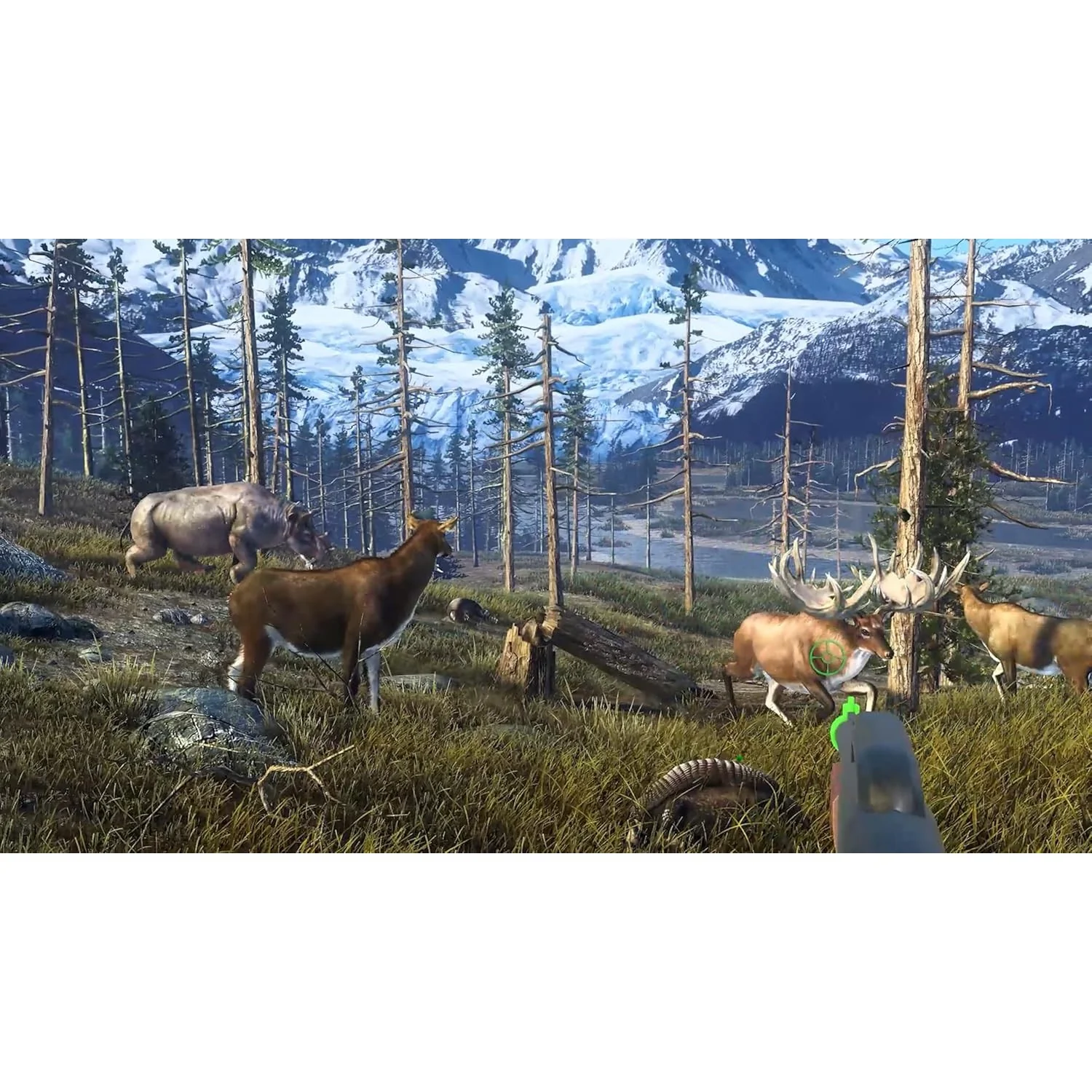 Big Buck Hunter: Ultimate Trophy - Nintendo Switch - Game Mill - Image 3