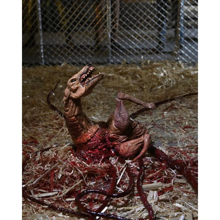 The Thing (1982) Ultimate Dog Creature Set - NECA - Image 15