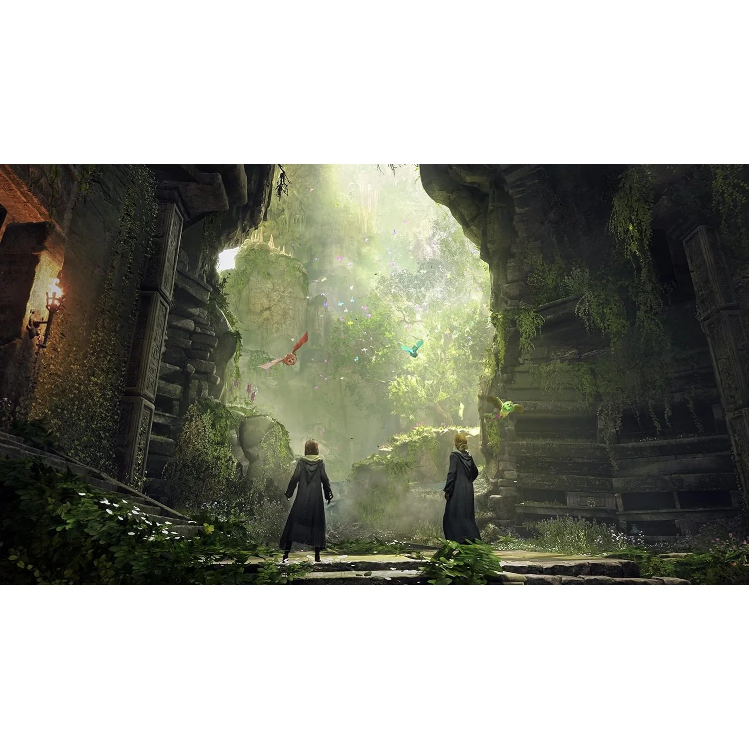Hogwarts Legacy - Nintendo Switch - Warner Bros - Image 5