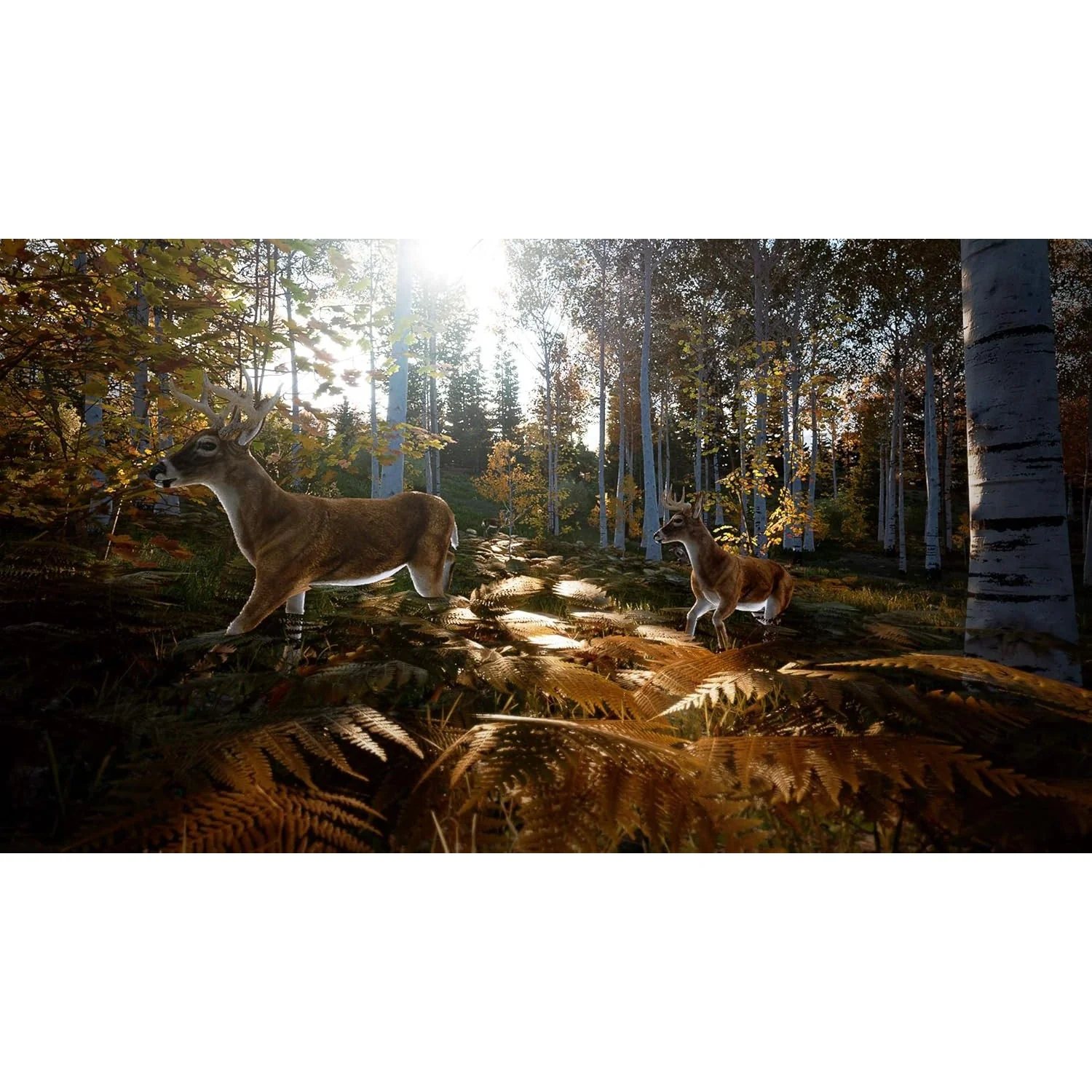 Hunting Simulator 2 - Xbox Series X - Maximum Entertainment - Image 3