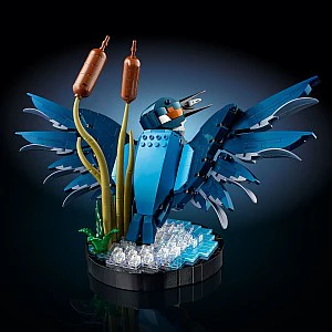 LEGO Icons Kingfisher Bird 10331 - Image 3