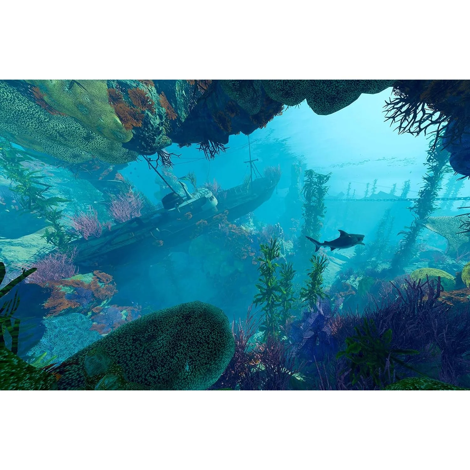 Maneater - PlayStation 4 - Deep Silver - Image 7