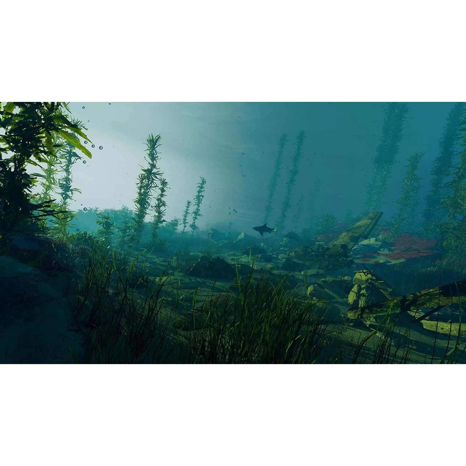 Maneater - Xbox Series X, Xbox One - Tripwire, Deep Silver - Image 4