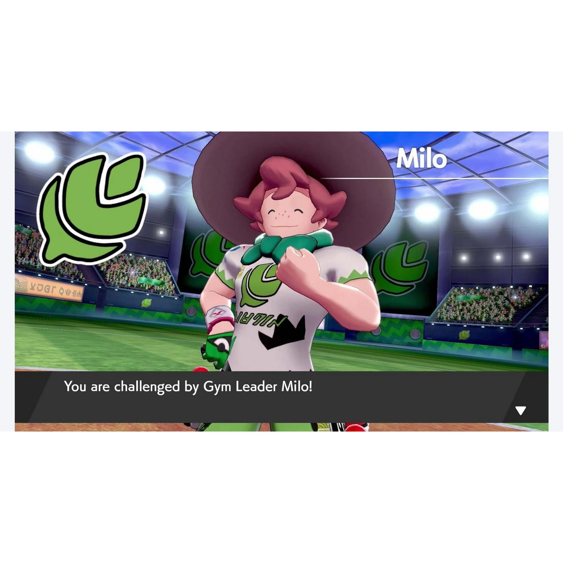 Pokémon Shield - Nintendo Switch - Game Freak - Image 20