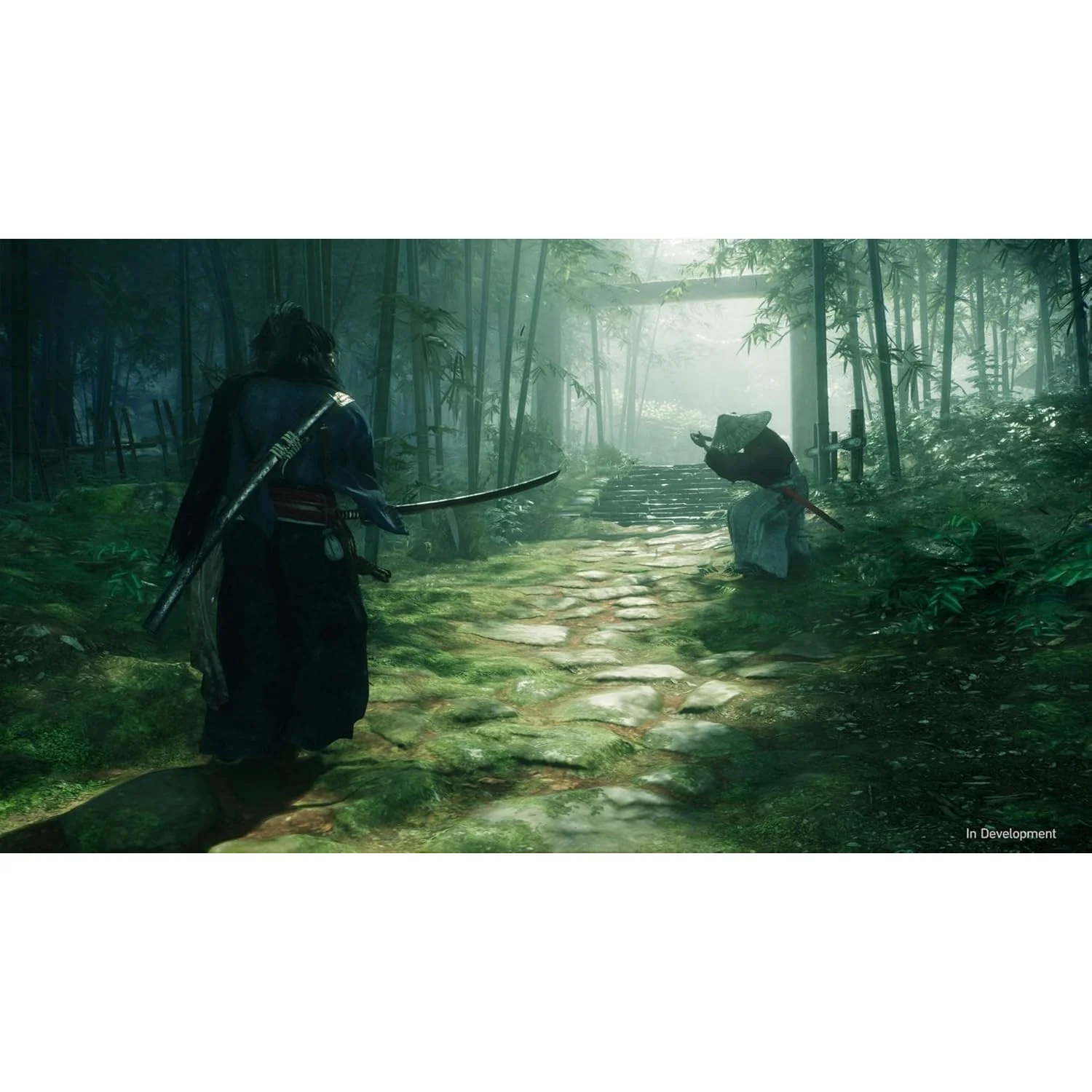 Rise of the Ronin - PlayStation 5 - Team NINJA, Koei Tecmo, PlayStation Studios - Image 2