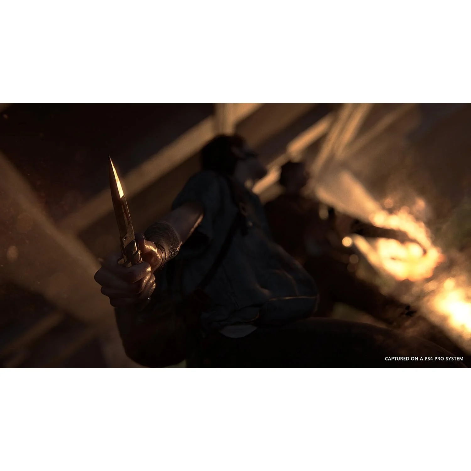 The Last of Us Part II Collector's Edition - PlayStation 4 - Naughty Dog, Sony - Image 10
