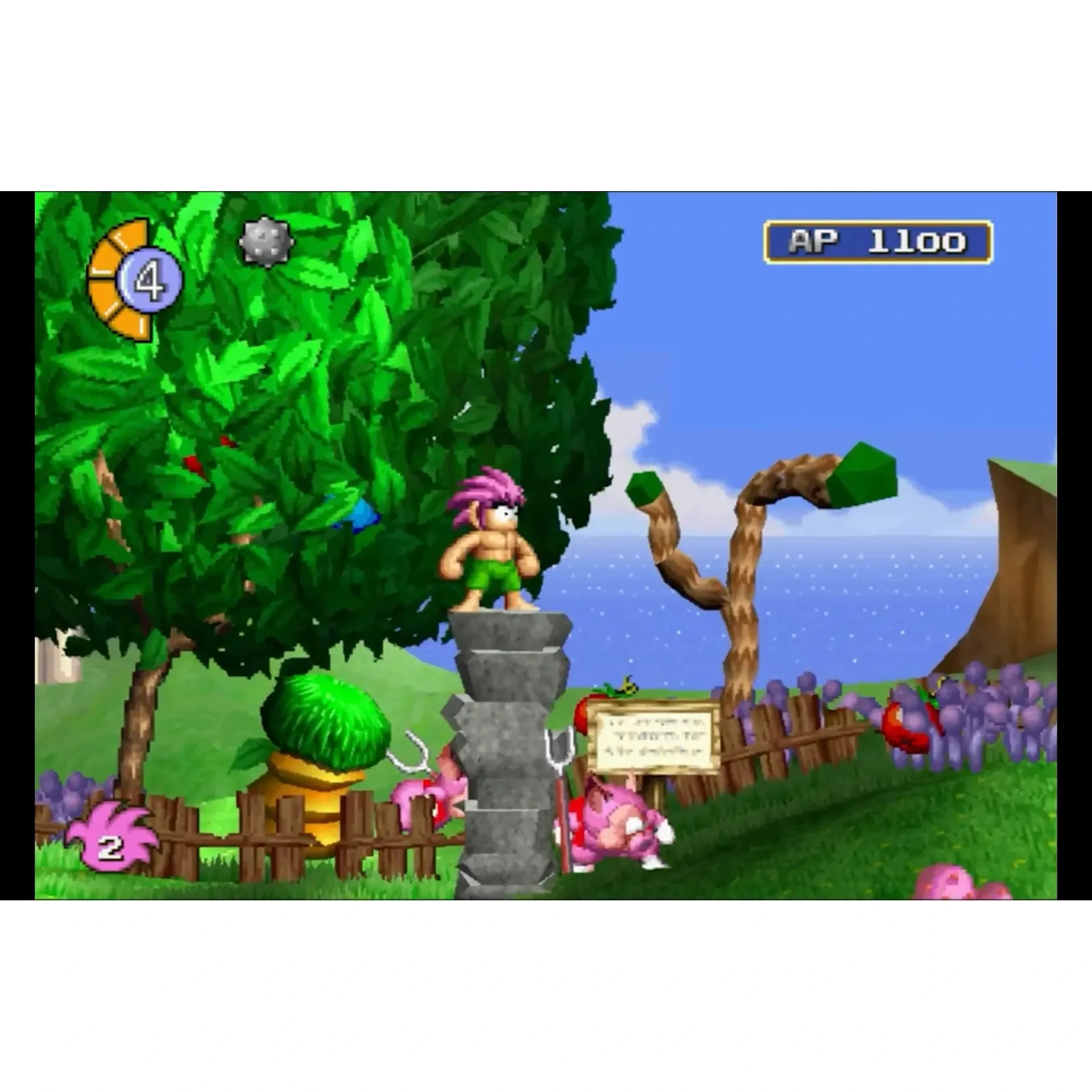 Tomba! Special Edition - Nintendo Switch - Limited Run #245 - Image 4