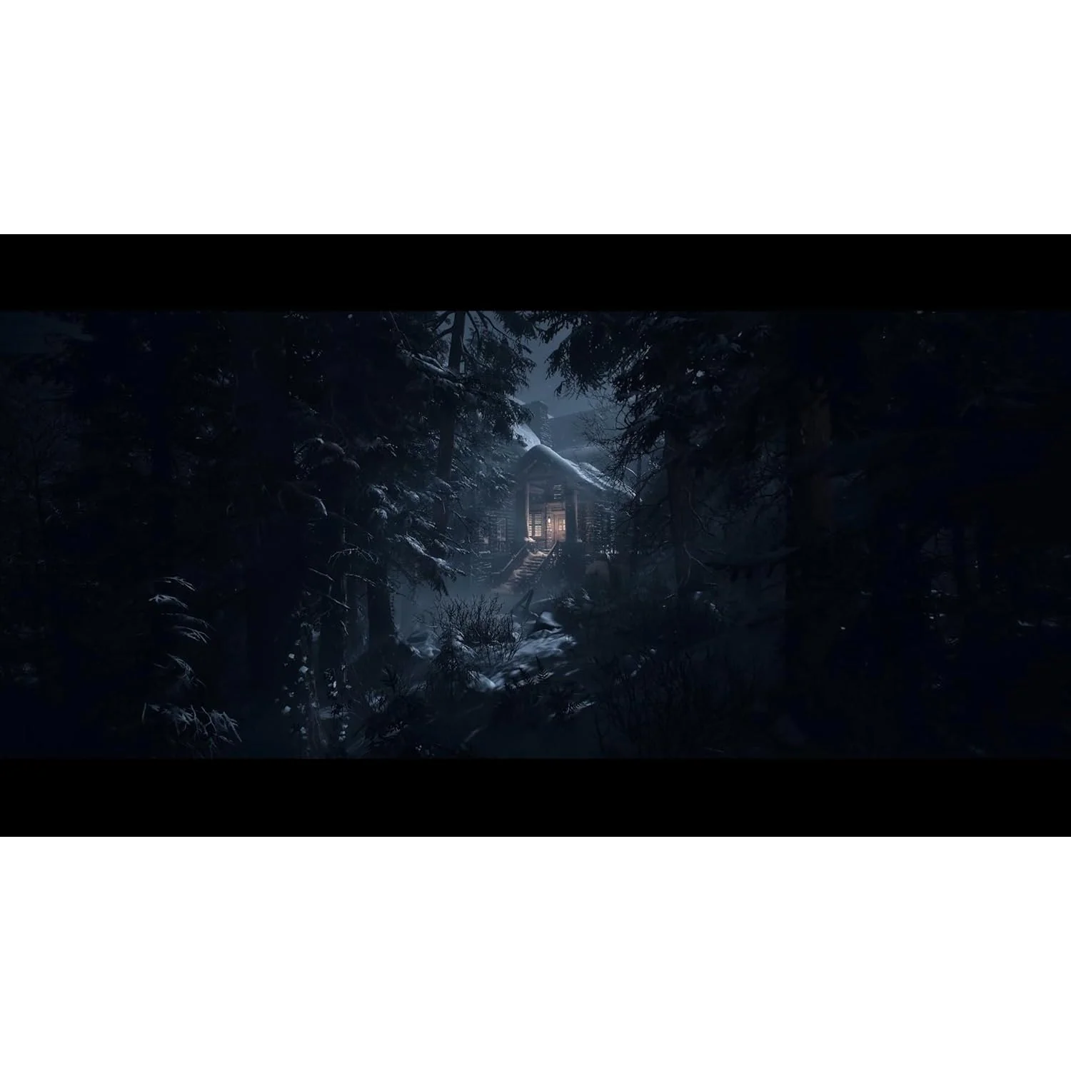 Until Dawn - PlayStation 5 - Ballistic Moon, Sony Interactive Entertainment - Image 9